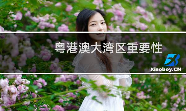 粤港澳大湾区重要性
