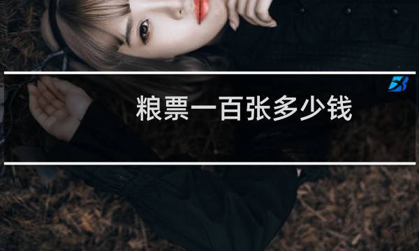 粮票一百张多少钱