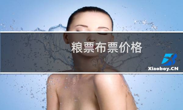 粮票布票价格