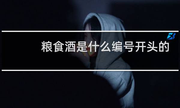 粮食酒是什么编号开头的