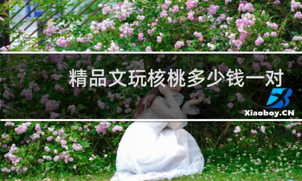 精品文玩核桃多少钱一对