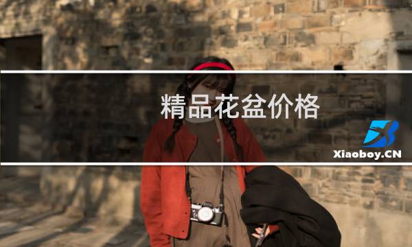 精品花盆价格