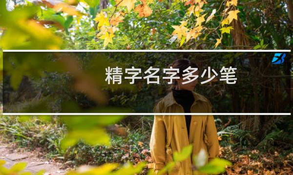 精字名字多少笔