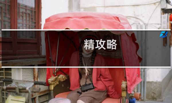 精攻略