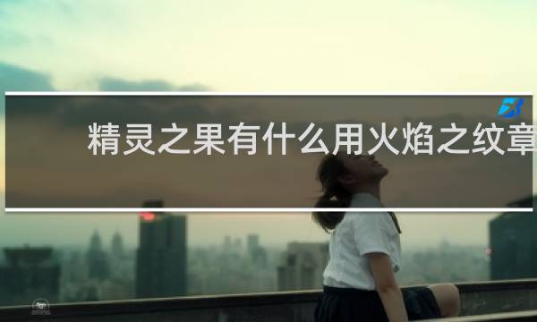 精灵之果有什么用火焰之纹章