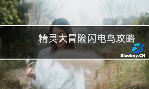精灵大冒险闪电鸟攻略