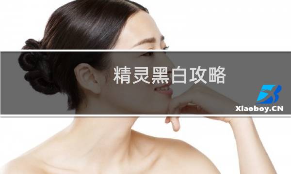 精灵黑白攻略