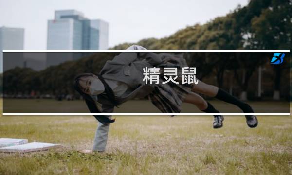精灵鼠 攻略