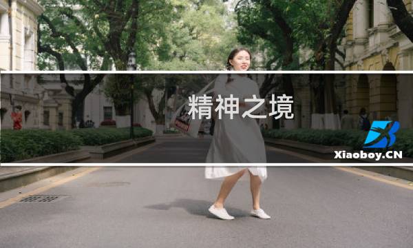 精神之境 攻略