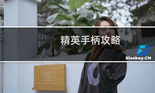 精英手柄攻略