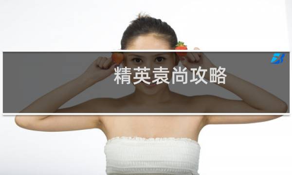 精英袁尚攻略