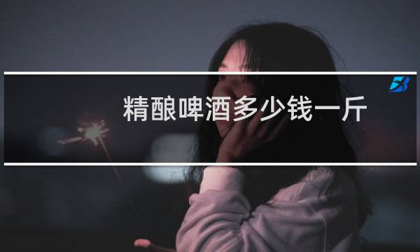 精酿啤酒多少钱一斤