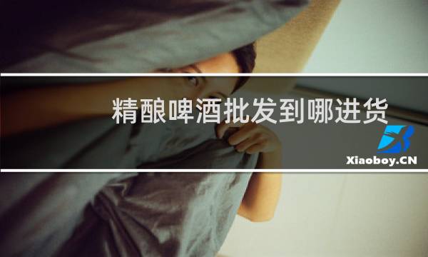精酿啤酒批发到哪进货