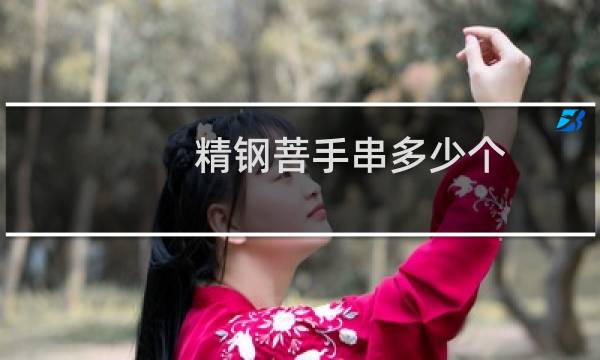 精钢菩手串多少个