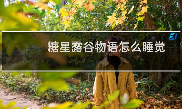 糖星露谷物语怎么睡觉