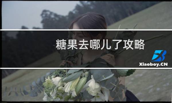 糖果去哪儿了攻略