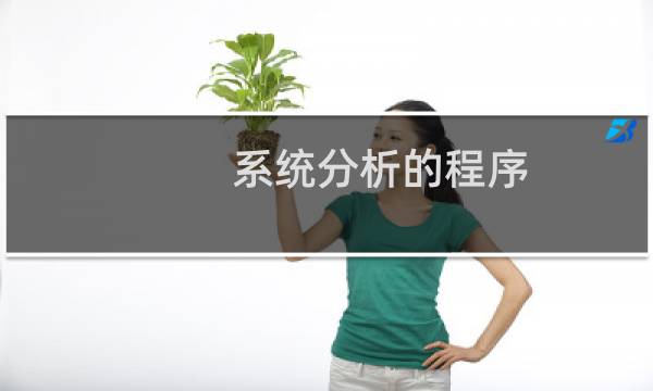 系统分析的程序