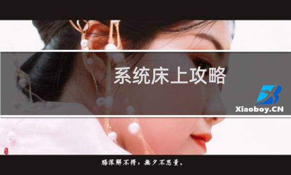 系统床上攻略