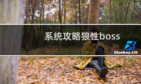 系统攻略狼性boss