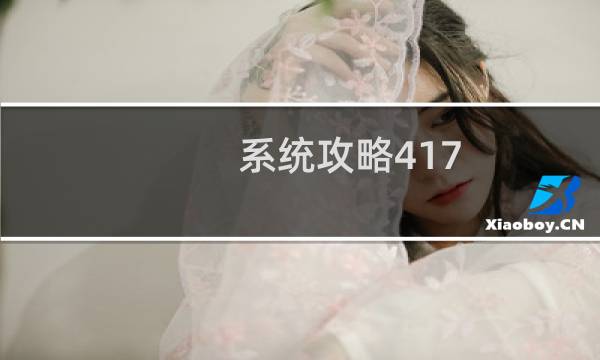 系统攻略417