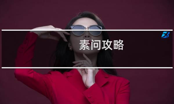 素问攻略