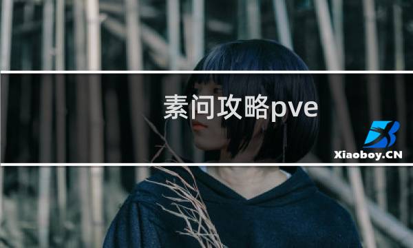 素问攻略pve