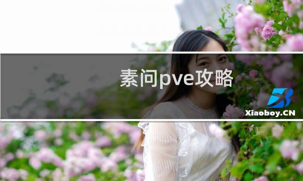 素问pve攻略