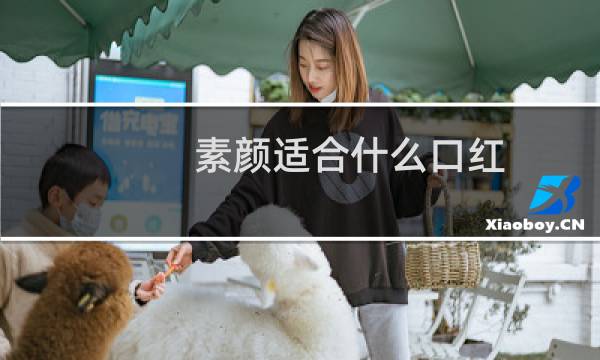 素颜适合什么口红