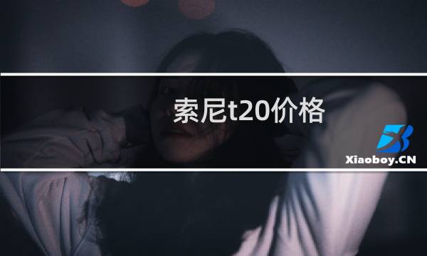 索尼t20价格