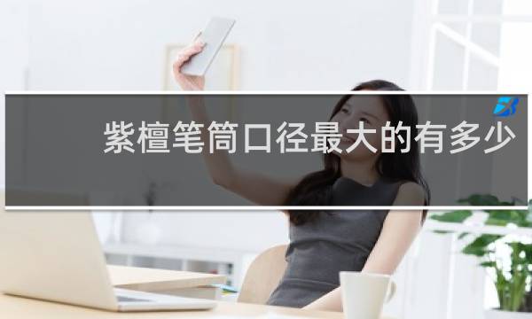 紫檀笔筒口径最大的有多少