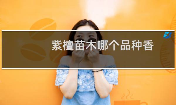 紫檀苗木哪个品种香