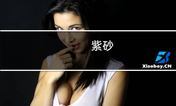 紫砂 张哲伟的多少钱