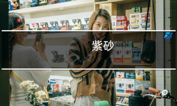 紫砂 王卫价格