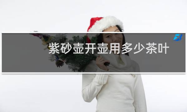 紫砂壶开壶用多少茶叶