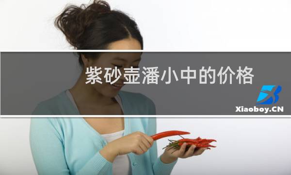 紫砂壶潘小中的价格