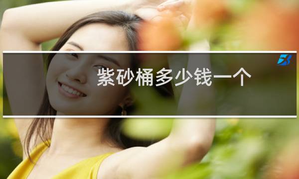紫砂桶多少钱一个
