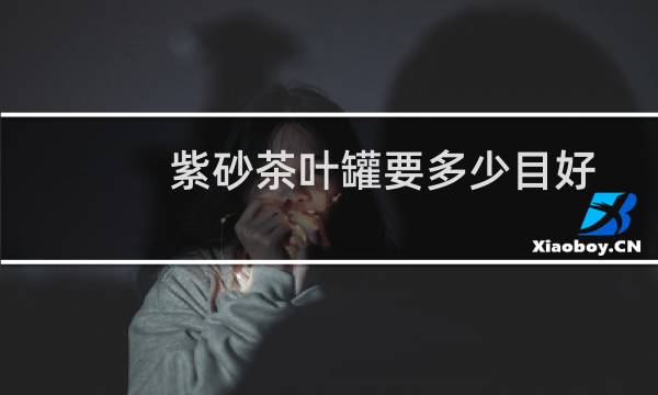 紫砂茶叶罐要多少目好