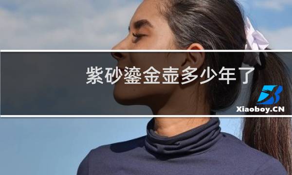 紫砂鎏金壶多少年了