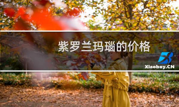紫罗兰玛瑙的价格