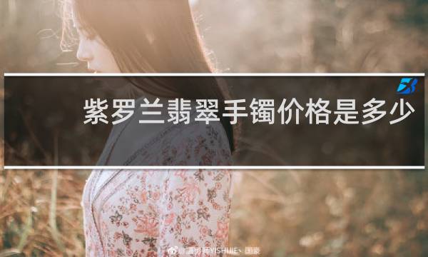 紫罗兰翡翠手镯价格是多少