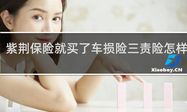 紫荆保险就买了车损险三责险怎样理赔