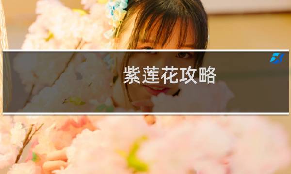 紫莲花攻略