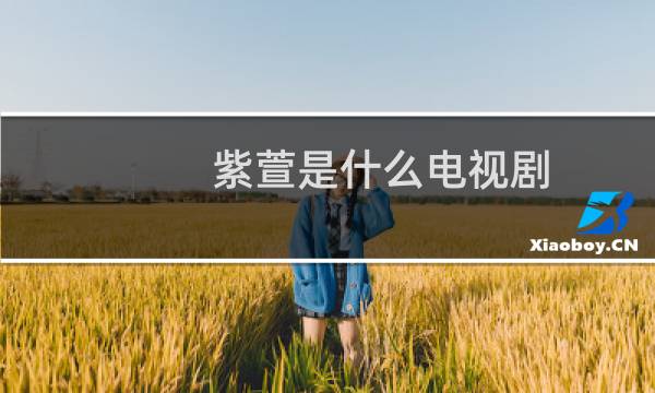 紫萱是什么电视剧