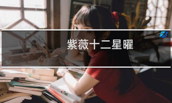 紫薇十二星曜