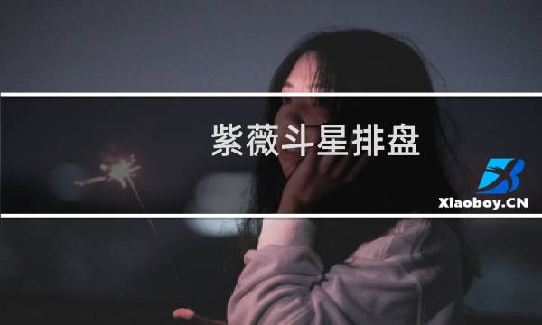 紫薇斗星排盘
