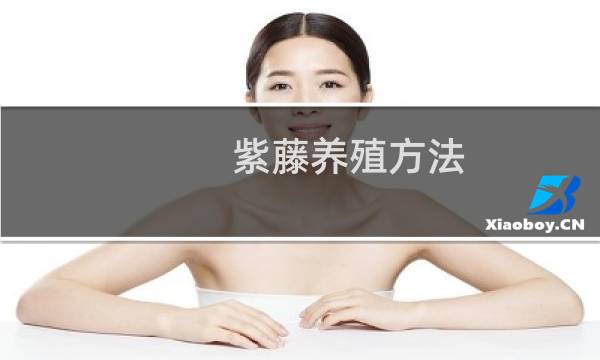 紫藤养殖方法