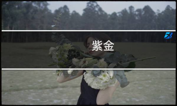 紫金 攻略