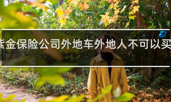 紫金保险公司外地车外地人不可以买车险吗
