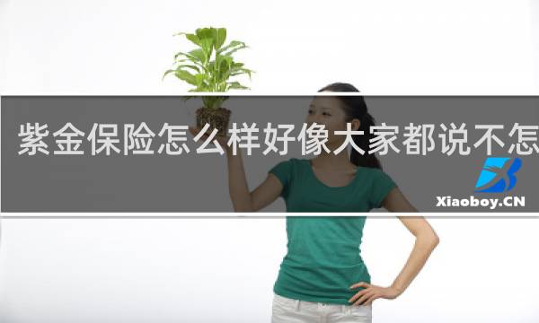 紫金保险怎么样好像大家都说不怎么样
