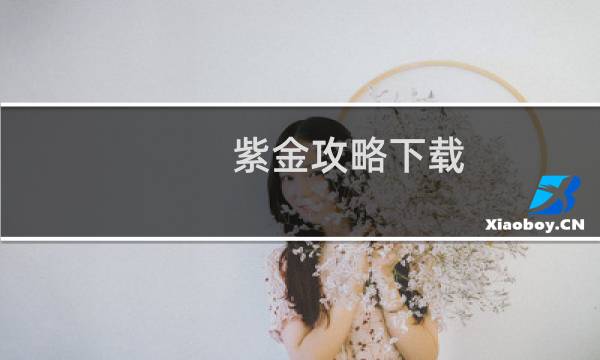 紫金攻略下载